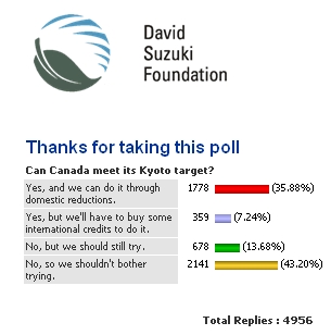 Suzuki Poll